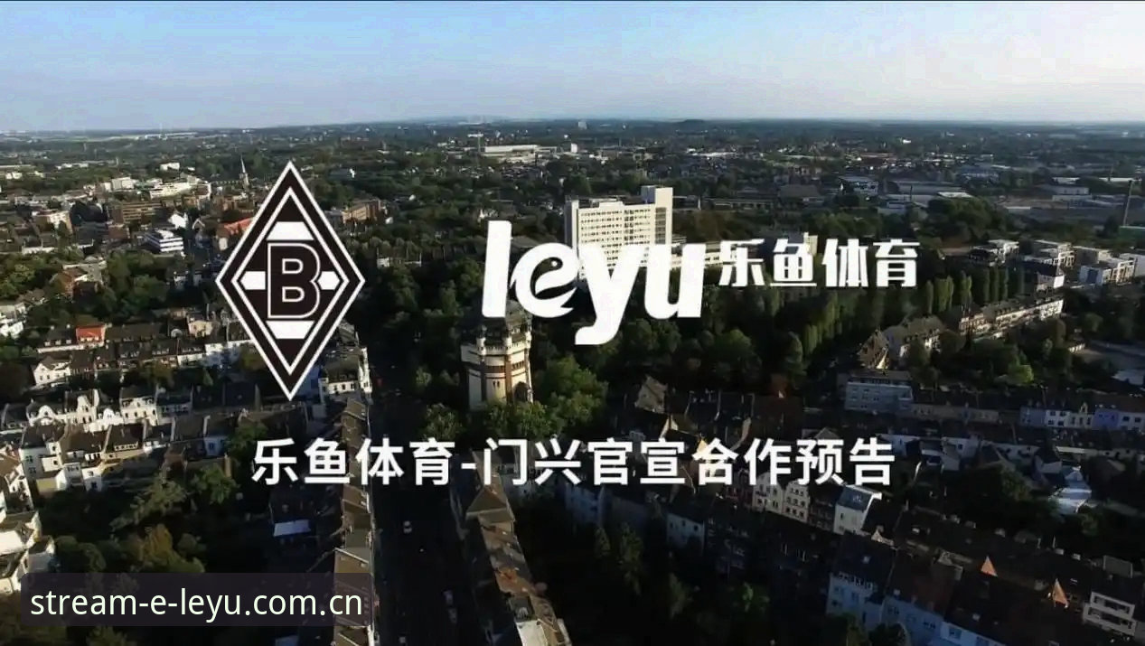 乐鱼视频体育App使用指南：乐鱼体育APP下载必备的版本选择与直播技术评测